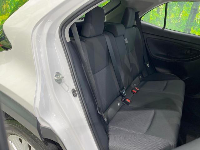 24849479_carP_l_19.jpg