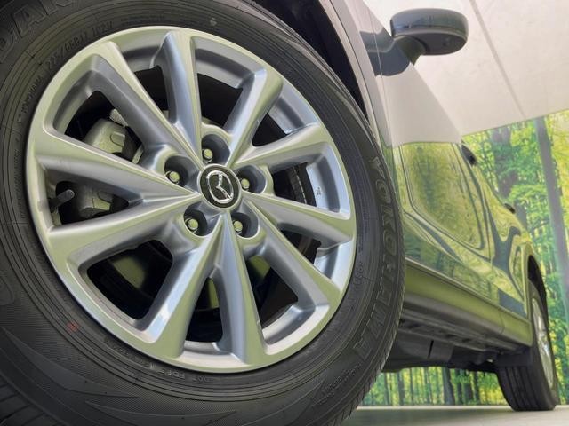 26251414_carP_l_7.jpg