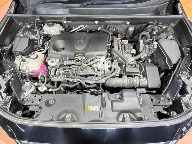25591983_carP_l_16.jpg