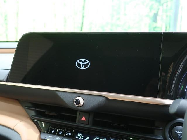 26146516_carP_l_15.jpg