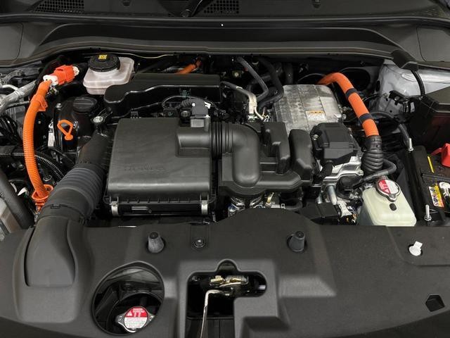 26557299_carP_l_16.jpg