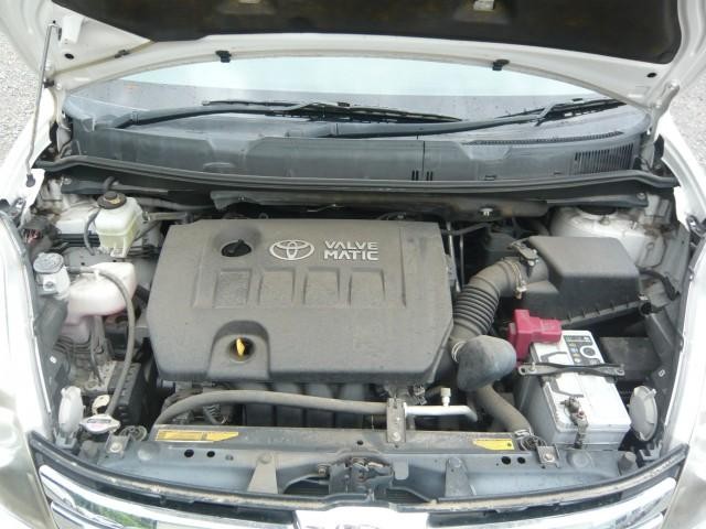 26028560_carP_l_17.jpg