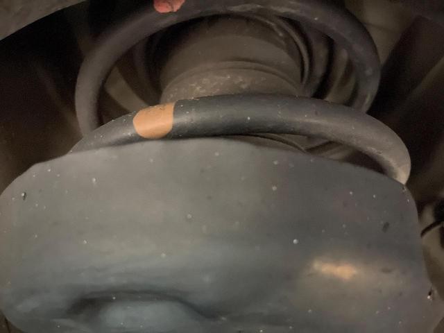 26251513_carP_l_20.jpg