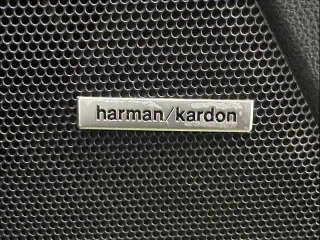 26572412_carP_l_14.jpg
