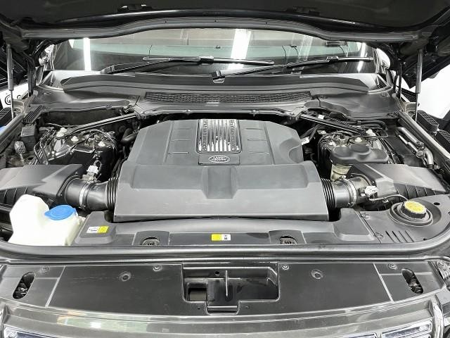 25904692_carP_l_17.jpg