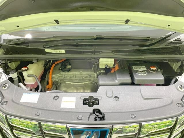 26023278_carP_l_20.jpg