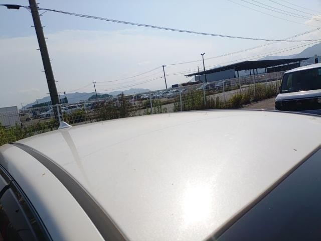 25947596_carP_l_14.jpg