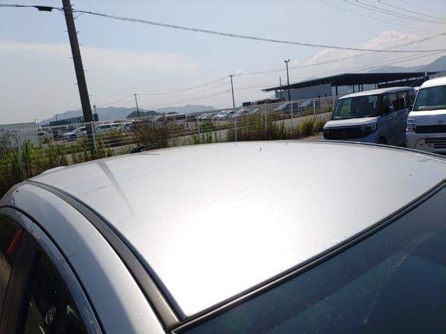 25947597_carP_l_14.jpg