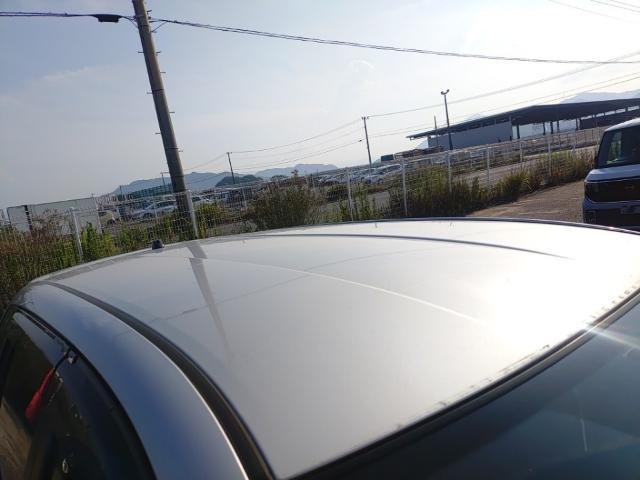 25947598_carP_l_14.jpg