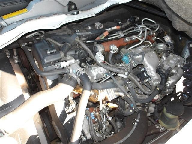 26028741_carP_l_16.jpg