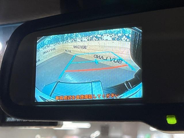25303460_carP_l_4.jpg