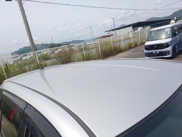 25947601_carP_l_14.jpg