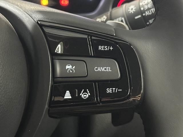0207973A20260920D00803.jpg