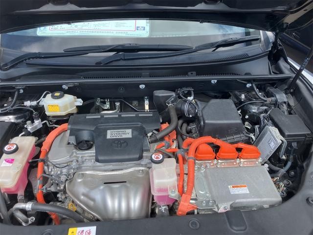 0902299A30260908W00718.jpg