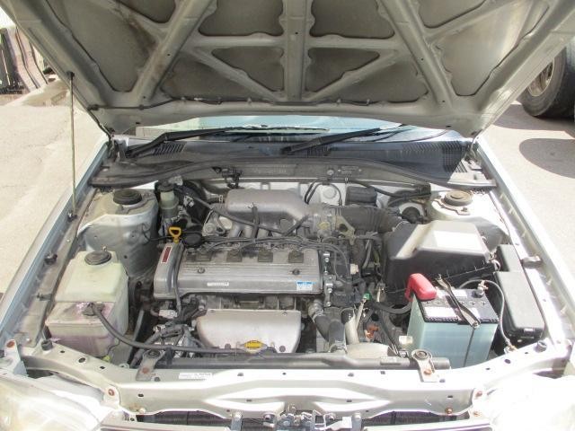 25904697_carP_l_18.jpg