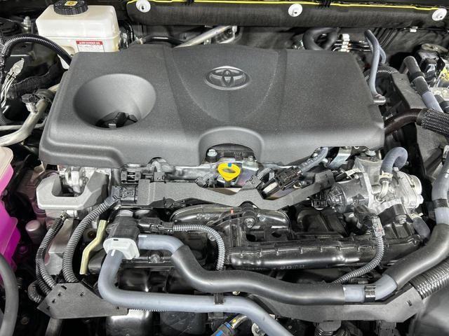 26002754_carP_l_16.jpg