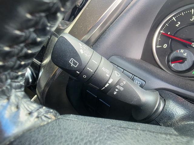 0206696A30260902W00308.jpg