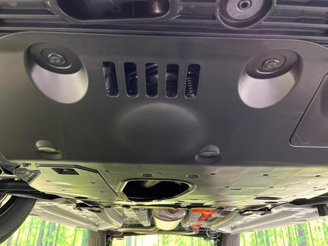 25303502_carP_l_18.jpg