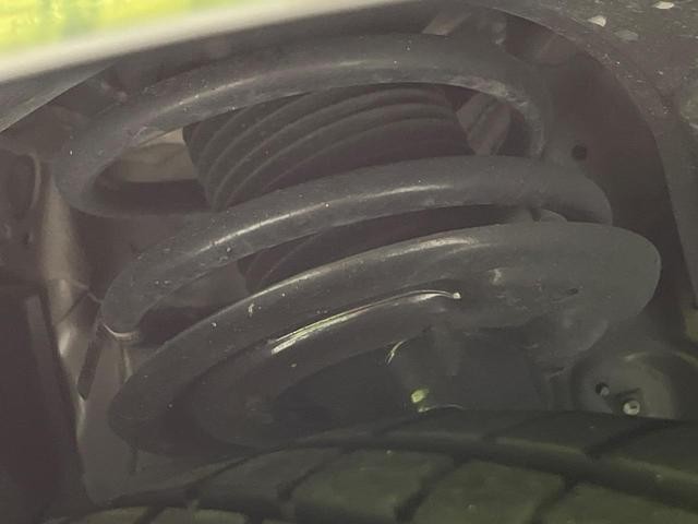 25303520_carP_l_20.jpg