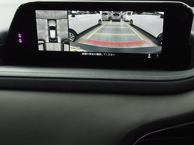 0500075A20261006K00316.jpg