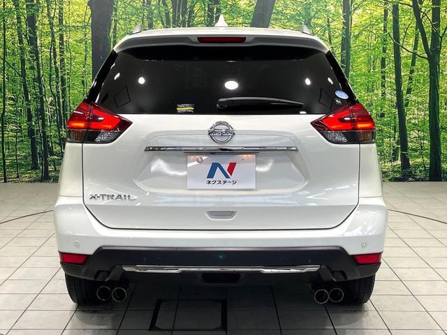 24849578_carP_l_9.jpg