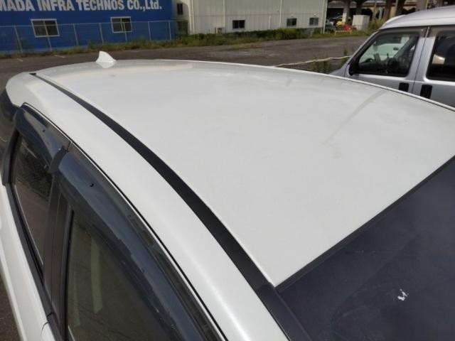 25947619_carP_l_14.jpg