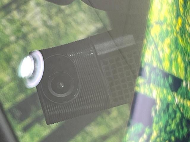 25612080_carP_l_13.jpg