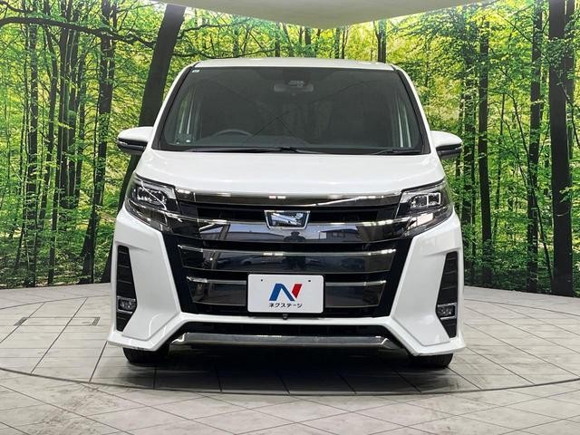 25612268_carP_l_9.jpg