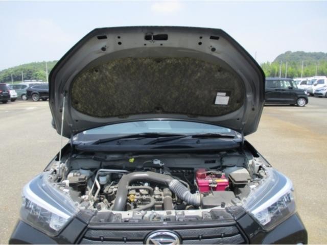 25674441_carP_l_18.jpg