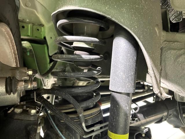 25612094_carP_l_20.jpg
