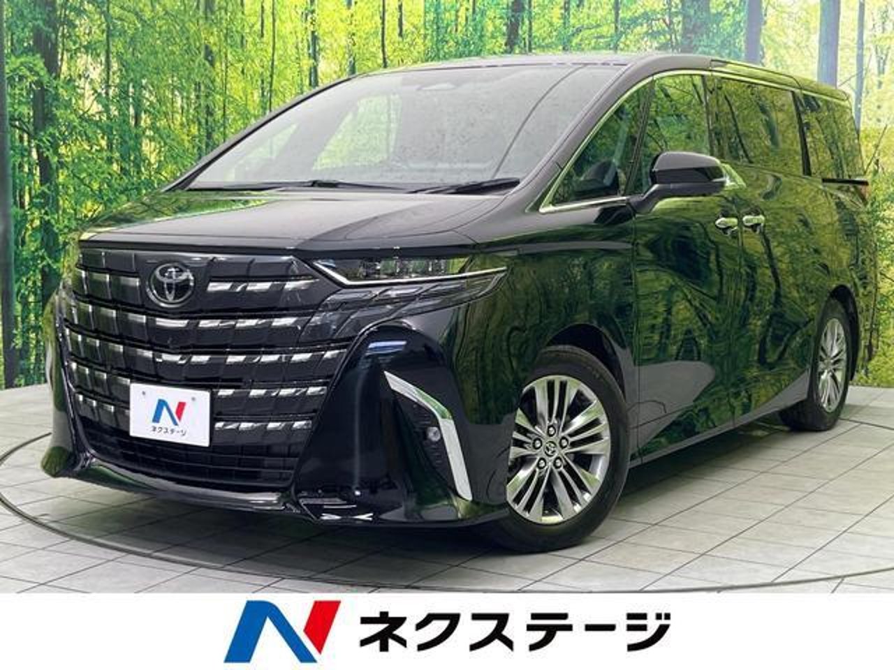 2025 Toyota Alphard, photo 1 of 1