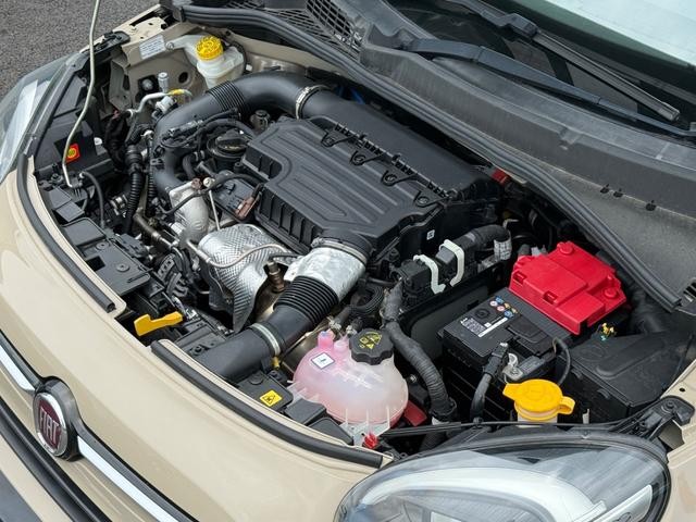 0208956A30260718W00206.jpg