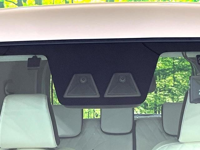 26557018_carP_l_15.jpg