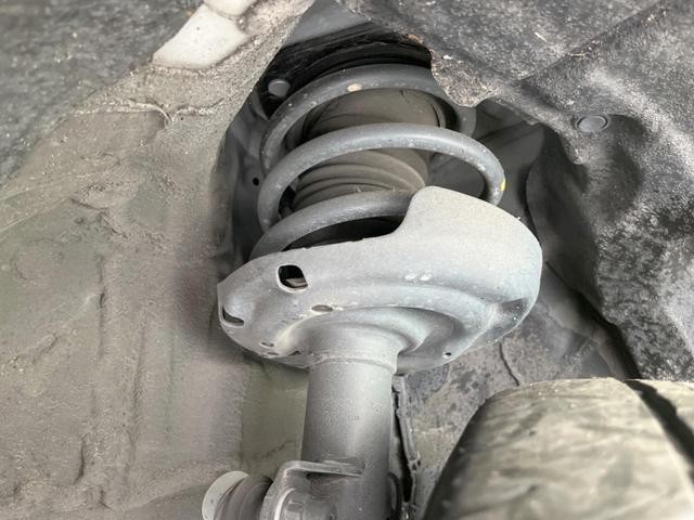 25734113_carP_l_20.jpg