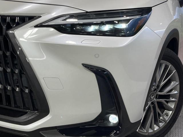 26252184_carP_l_7.jpg