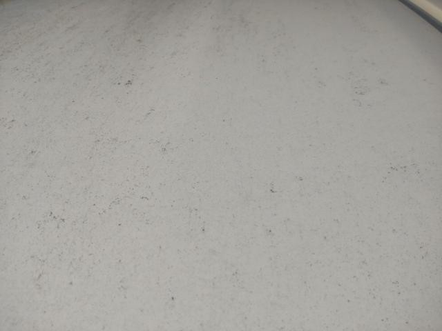 26766159_carP_l_14.jpg