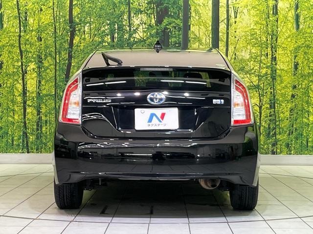 26838384_carP_l_9.jpg