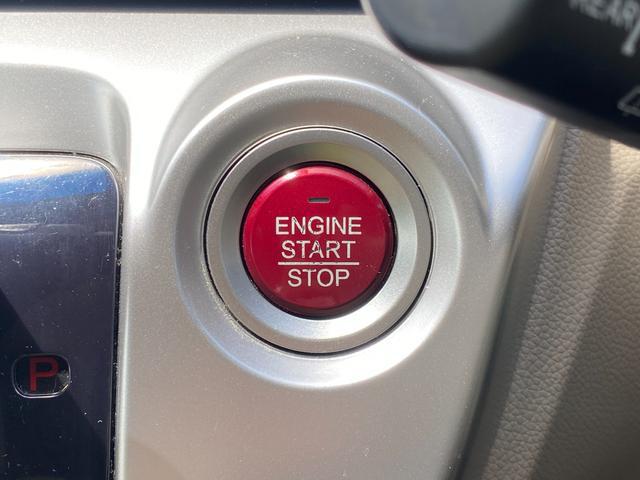0203981A30260626W00203.jpg