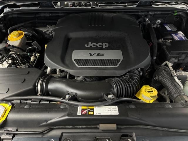 26084230_carP_l_18.jpg
