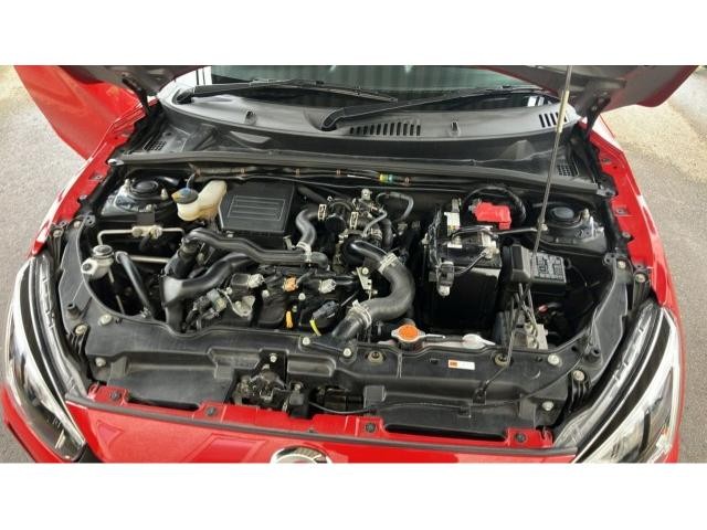 25947806_carP_l_17.jpg