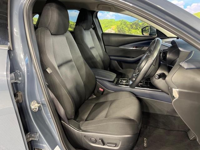 26252186_carP_l_19.jpg