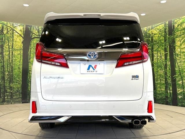 26688948_carP_l_11.jpg