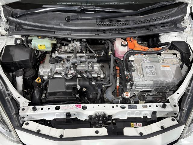 24561451_carP_l_17.jpg