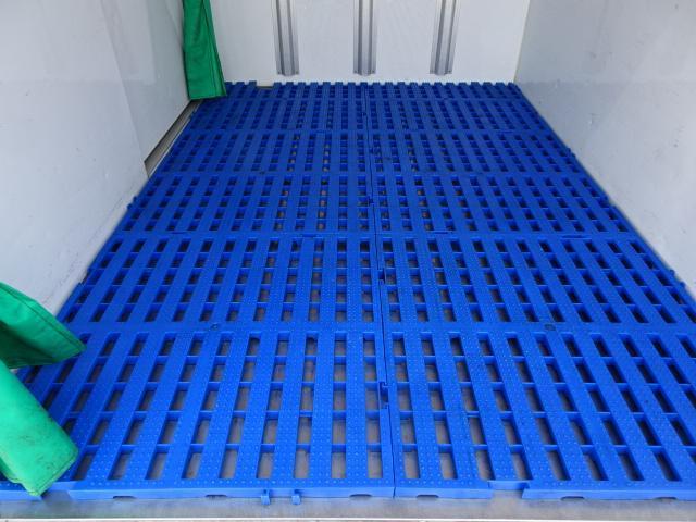 24561612_carP_l_16.jpg