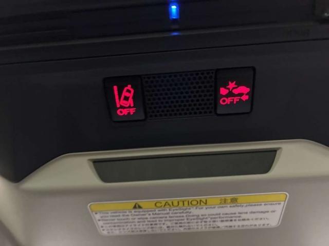 24782117_carP_l_2.jpg