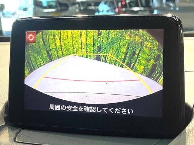 26043394_carP_l_4.jpg