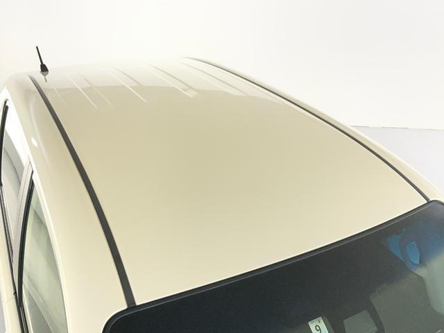 24561718_carP_l_2.jpg