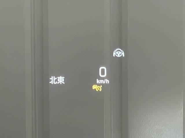 24147864_carP_l_17.jpg