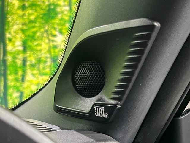26773977_carP_l_13.jpg
