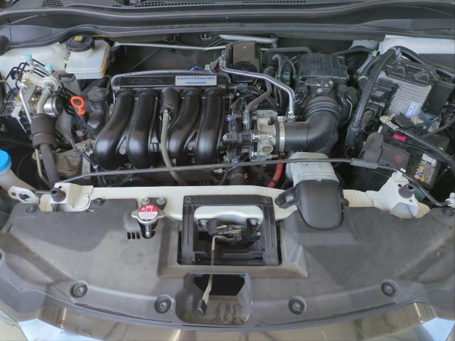 26577629_carP_l_17.jpg